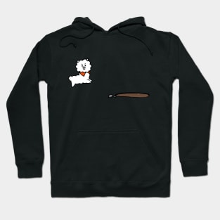 RJ Hoodie